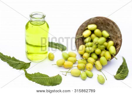 Fresh Green Neem Fruit Of Indian Lilac Fruit In A Clay Bowl Isolated On White Along With Its Oil In
