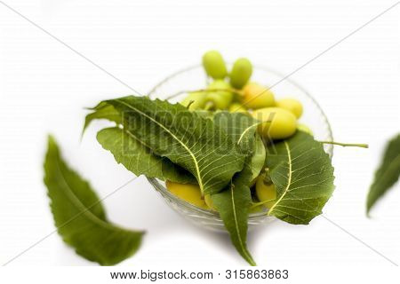 Neem Fruit Or Nim Fruit Or Indian Lilac Fruit In A Glass Bowl Isolated On White Along With Some Fres