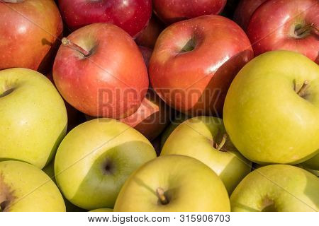 Golden Delicious And Gala Apples Close Up