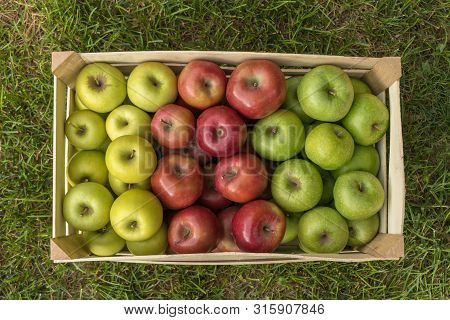 Wooden crate with fresh apples on grass: Golden Delicious, Gala, Granny Smith