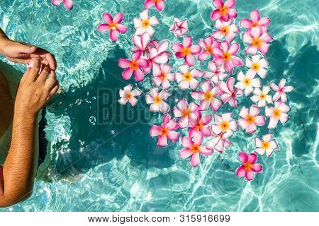 Hands Over The Pool With Flowers. Tropical Flowers Frangipani Plumeria, Leelawadee Floating In The W