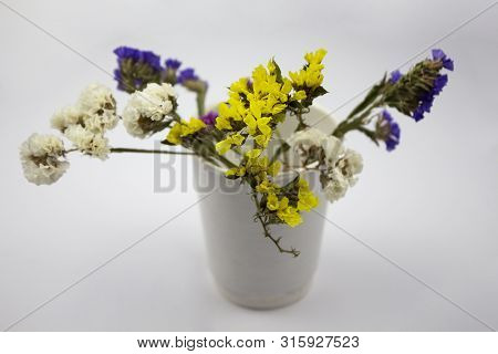 Flower In Garden At Sunny Summer Or Spring Day. Flower For Postcard Beauty Decoration And Agricultur