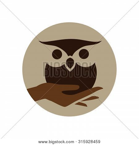 Human Hand Holding Little Owl, Vector Graphic Design Element