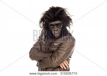 Man with gorilla head isolated on a white background