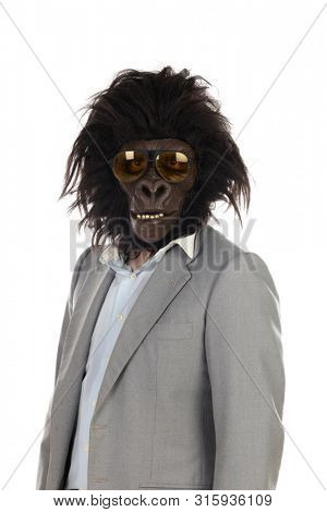 Businessman with gorilla head gesturing isolated on a white background