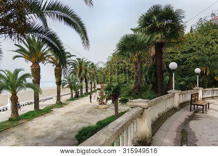 Gagra, Abkhazia - May 02, 2019: View From The Colonnade On Ardzinba Avenue Towards The Sea And The S