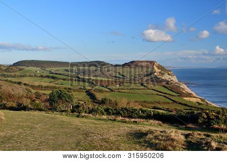 Landscape Photo Of Golden Cap Mountain In Dorset