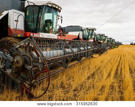 VILLAGE DECABRIST, SARTOV REGION, RUSSIA - AUGUST 03, 2019: Combine harvesters and tractors in the field for harvesting wheat
