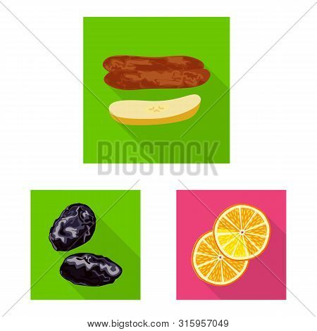 Isolated Object Of Fruit And Dried Icon. Set Of Fruit And Food Vector Icon For Stock.