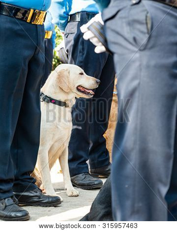 KATHMANDU, NEPAL - NOVEMBER 6, 2018: Nepal police celebrates Kukur Tihar (dog festival) at Central Police Dog Training School.