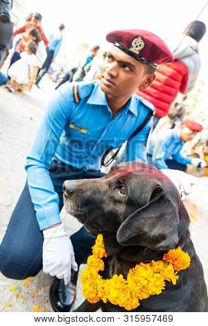 KATHMANDU, NEPAL - NOVEMBER 6, 2018: Nepal police celebrates Kukur Tihar (dog festival) at Central Police Dog Training School.