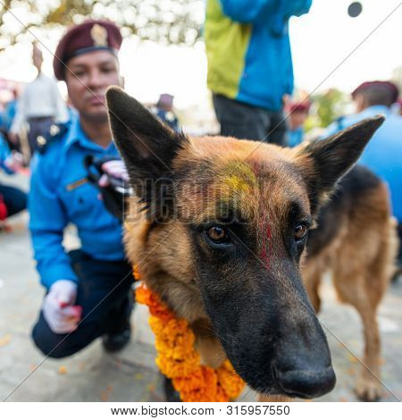 KATHMANDU, NEPAL - NOVEMBER 6, 2018: Nepal police celebrates Kukur Tihar (dog festival) at Central Police Dog Training School.