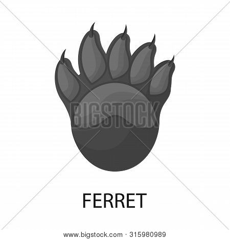 Vector Illustration Of Ferret And Paw Icon. Collection Of Ferret And Claws Stock Symbol For Web.