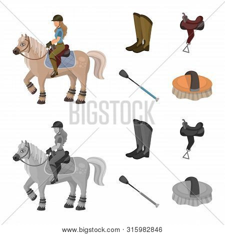 Vector Design Of Equipment And Riding Symbol. Collection Of Equipment And Competition Stock Vector I