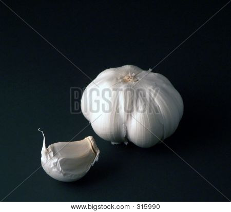 Garlic