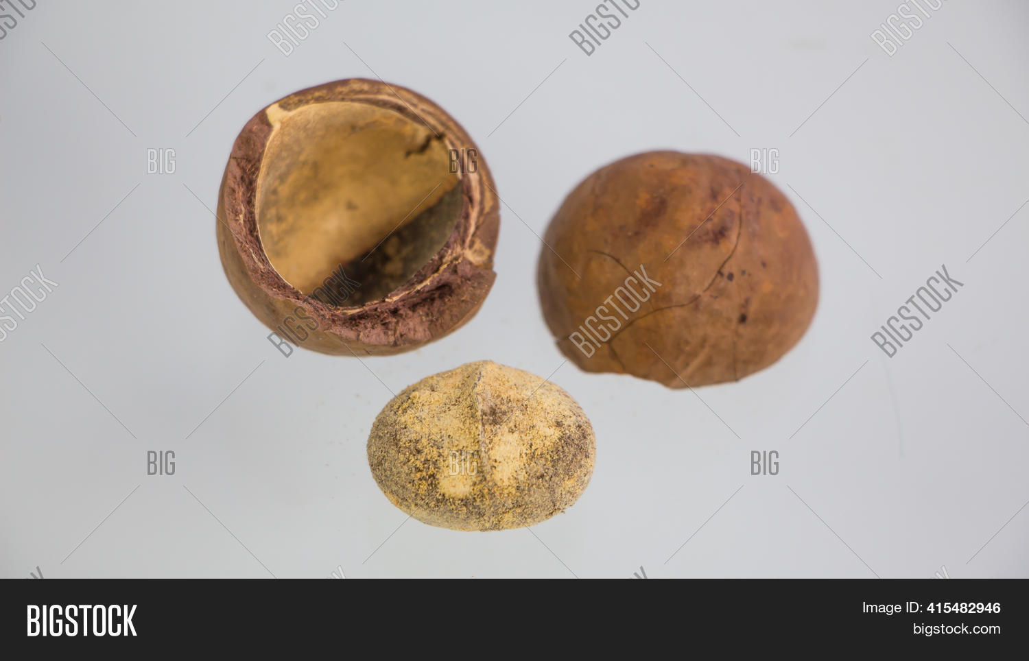 Mold Macadamia Nuts Image & Photo (Free Trial) Bigstock