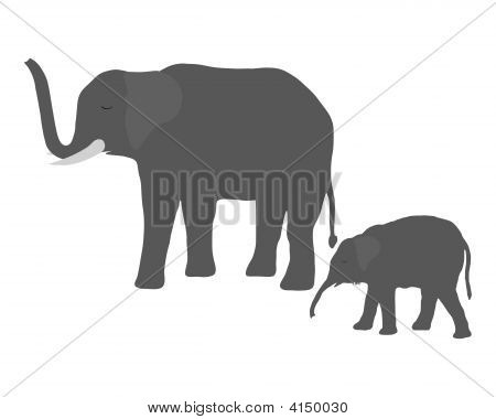 Lehmän Elephant nuori Elephant