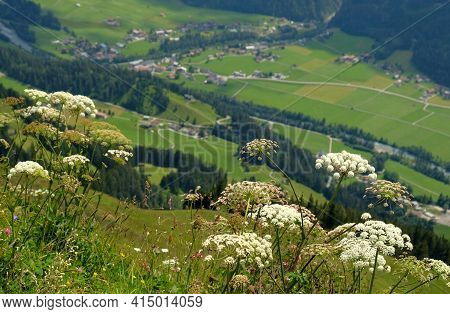 Beautiful Alpine Landscape With Green Meadows, Alpine Cottages And Mountain Peaks, Lechtal, Lech, Au