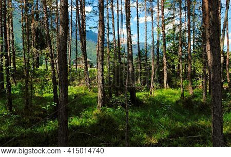 Beautiful Alpine Landscape With Green Meadows, Alpine Cottages And Mountain Peaks, Lechtal, Lech, Au