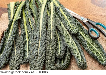Cooking With Black Flat Leaves Of Cavolo Nero Tuscan Cabbage