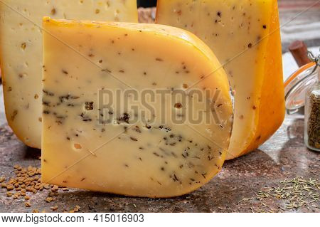 Cheese Collection, Pieces Of Hard Yellow Dutch Gouda Cheese With Dried Caraway, Mustard, Cumin, Fenu