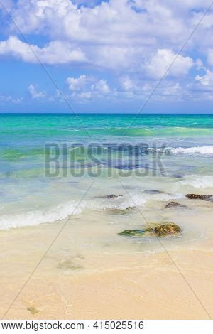 Tropical Mexican Beach 88 Punta Esmeralda Playa Del Carmen Mexico.