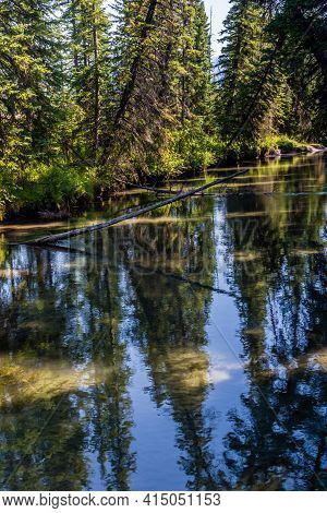 40 Mile Creek Meanders Beside Fenland Trail. Banff National Park, Alberta, Canada