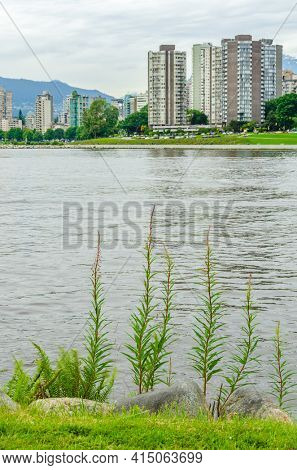 A view at Downtown and it's reflection in water of padle in Vancouver, Canada from Portside Park.