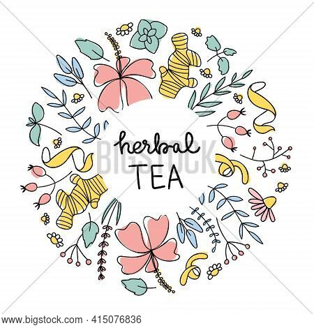 Herbal Tea Frame. Cute Doodle Flowers And Herbs For Healthy Drink.