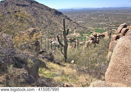 Arizona Desert Landscape