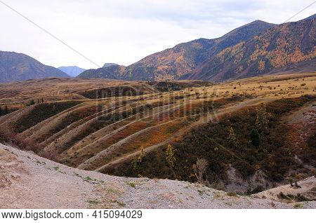 The Rippled Surface Of Natural Hills With Rare Conifers Overlooking A Picturesque Autumn Valley.