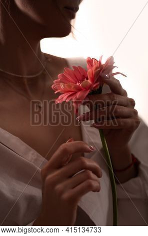 The Concept Of Femininity, Women's Health, Gynecology