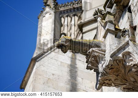 Lime Sandstone Gargoyles At St. Peter\'s Cathedral In Regensburg, Photographed In Spring