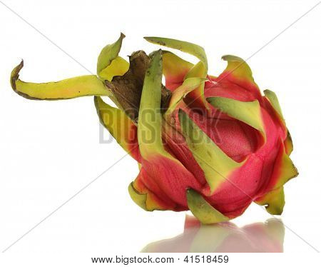 Pitahaya matura isolata on white