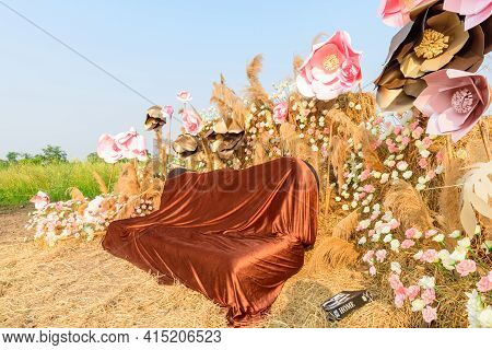 Rachaburi,thailand - 24 March, 2021: Beautiful Colorful Chinese Wool Flower Farm At Nuanaboon Flower