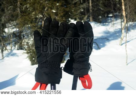 Attributes Of A Ski Trip. Ski Poles And Mittens On Forest Background. Halt