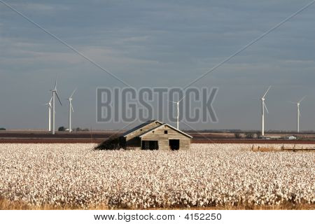 Esta granja de Ol sabe cómo generar algunos Texas Power