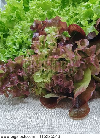 Green And Purple Salad Leaves Mix Backgrounds, Healthy Food Linen Rustic Background , Copy Space