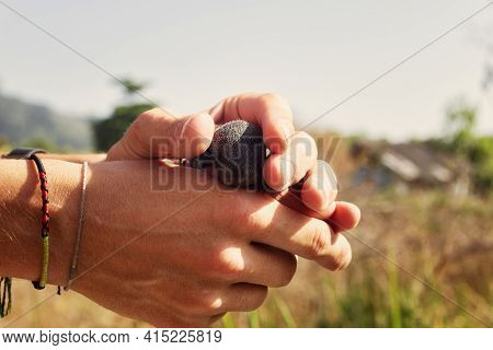 Indian Palm Squirrel (funambulus Palmarium) Pup In Hand, A Kit About A Month Old. Thailand