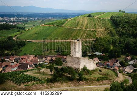Summer View Between The Vines Of The Ruins Of Chateau De Wineck, Ancient Abandoned Castle In The Vin