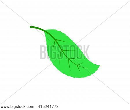 Green Leaf Ecology Nature Element Vector Icon Of Go Green