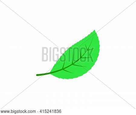 Green Leaf Ecology Nature Element Vector Icon Of Go Green