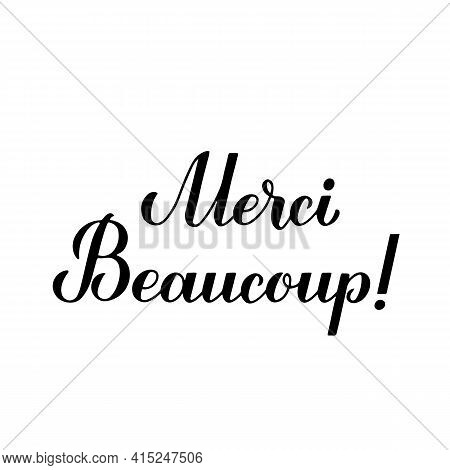 Thank You Very Much Calligraphy Hand Lettering In French Language Isolated On White Background. Vect