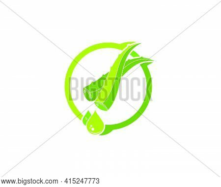 Aloevera Logo Icon Vector Illustration Design