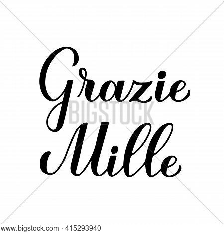 Thank You Very Much Calligraphy Hand Lettering In Italian Language Isolated On White Background. Vec