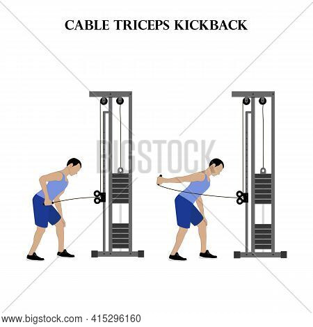 Cable Triceps Kickback Exercise Illustration On The White Background. Vector Illustration