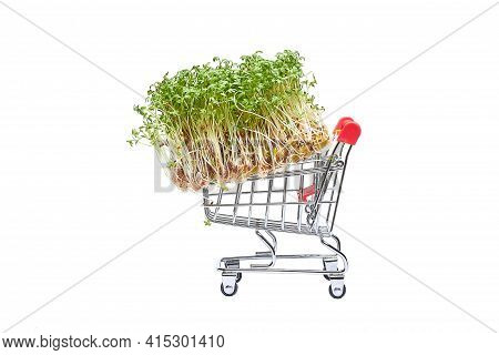 There Are Micrograins In The Basket. The Young Cress Shoots Are Piled In The Basket. The Concept Of 