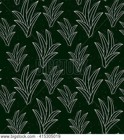 Seamless Repeating Plant Pattern With Chlorophytum-like Leaves Growing From The Center. Contour Whit