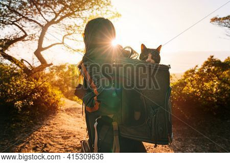 Woman Walking Outdoors In Nature With Her Lovely Cat In Backpack Carrier At Sunset. Funny Cat Looks 