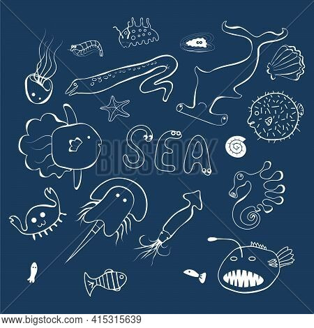 Cute Sea Creatures Line Style On The Dark Blue Background